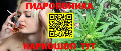 СК Краснокаменск