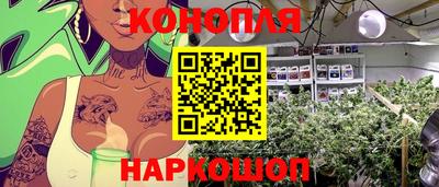 MDMA Краснознаменск
