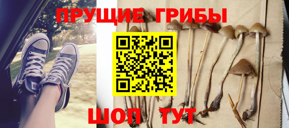 Галлюциногенные грибы ЛСД Сургут